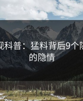柚子影视科普：猛料背后9个隐藏信号的隐情