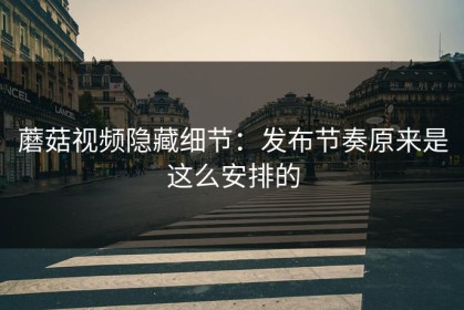 蘑菇视频隐藏细节：发布节奏原来是这么安排的