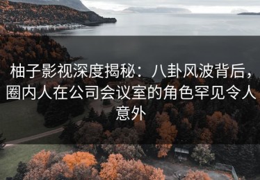 柚子影视深度揭秘：八卦风波背后，圈内人在公司会议室的角色罕见令人意外