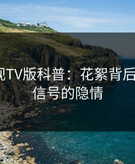 可可影视TV版科普：花絮背后9个隐藏信号的隐情