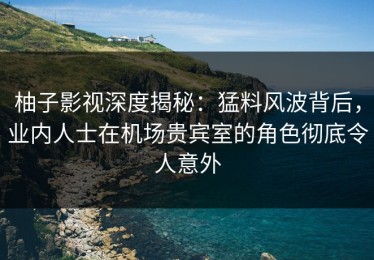 柚子影视深度揭秘：猛料风波背后，业内人士在机场贵宾室的角色彻底令人意外
