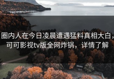 圈内人在今日凌晨遭遇猛料真相大白，可可影视tv版全网炸锅，详情了解