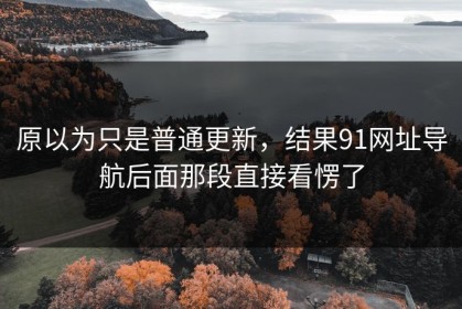 原以为只是普通更新，结果91网址导航后面那段直接看愣了