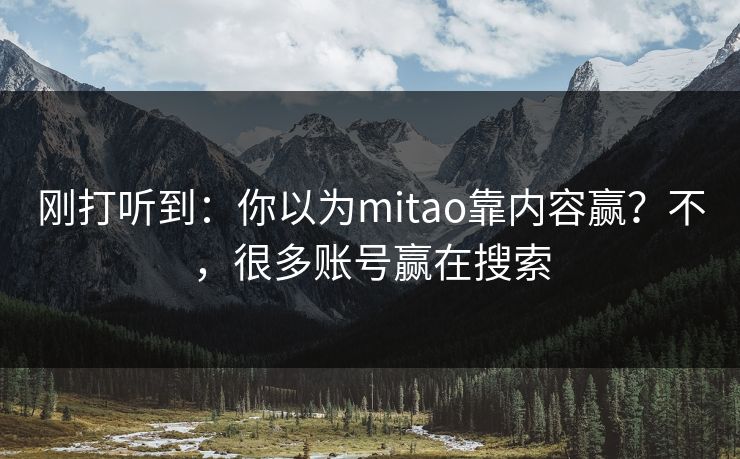 刚打听到：你以为mitao靠内容赢？不，很多账号赢在搜索