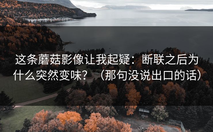 这条蘑菇影像让我起疑：断联之后为什么突然变味？（那句没说出口的话）