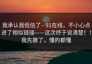 我承认我低估了 - 91在线，不小心点进了相似链接——这次终于说清楚！！我先撤了，懂的都懂