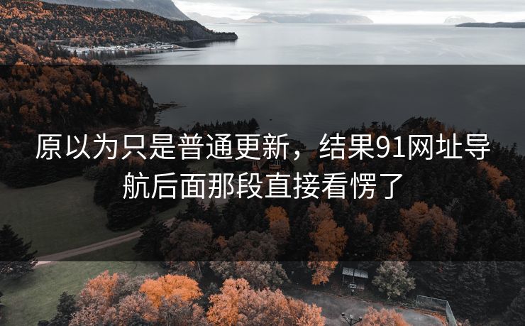 原以为只是普通更新，结果91网址导航后面那段直接看愣了